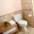 Brighton Senior Bath Solutions by Independent Home Products, LLC